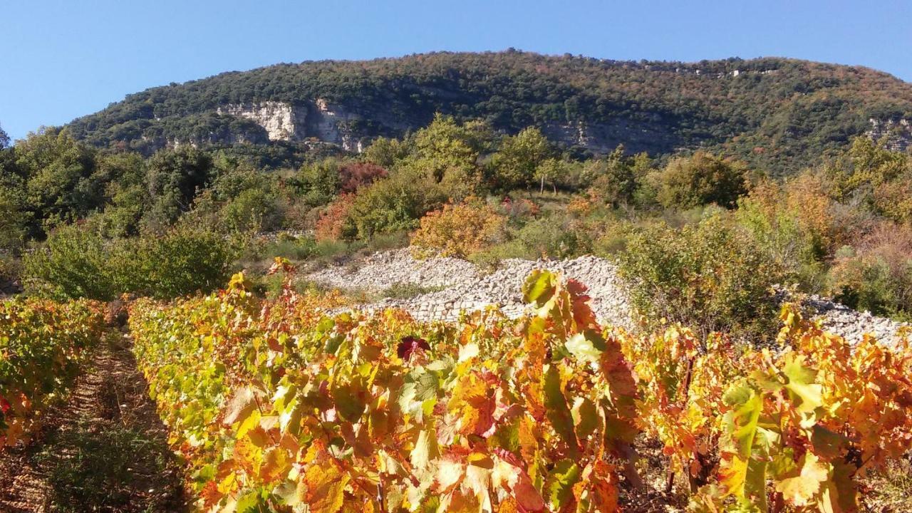 L'Auberge Du Mazet Lodève Zewnętrze zdjęcie